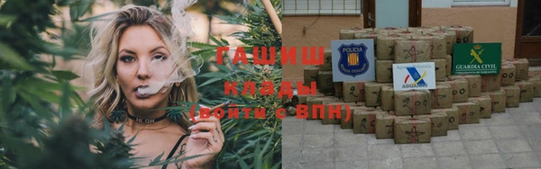 PSILOCYBIN Алзамай