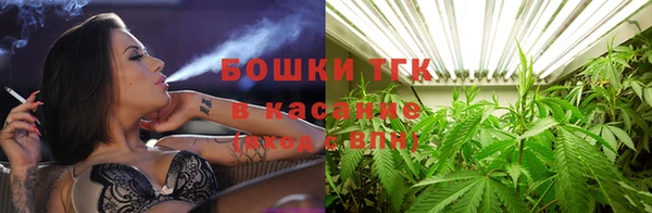 PSILOCYBIN Алзамай