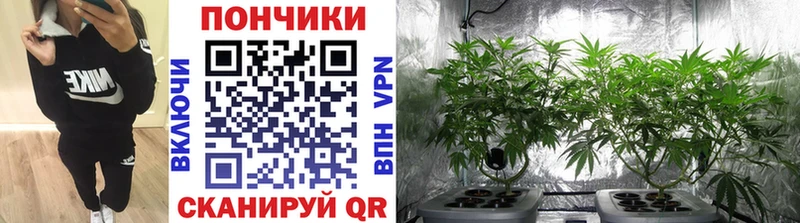 продажа наркотиков  Мыски  маркетплейс как зайти  Марихуана LSD WEED 